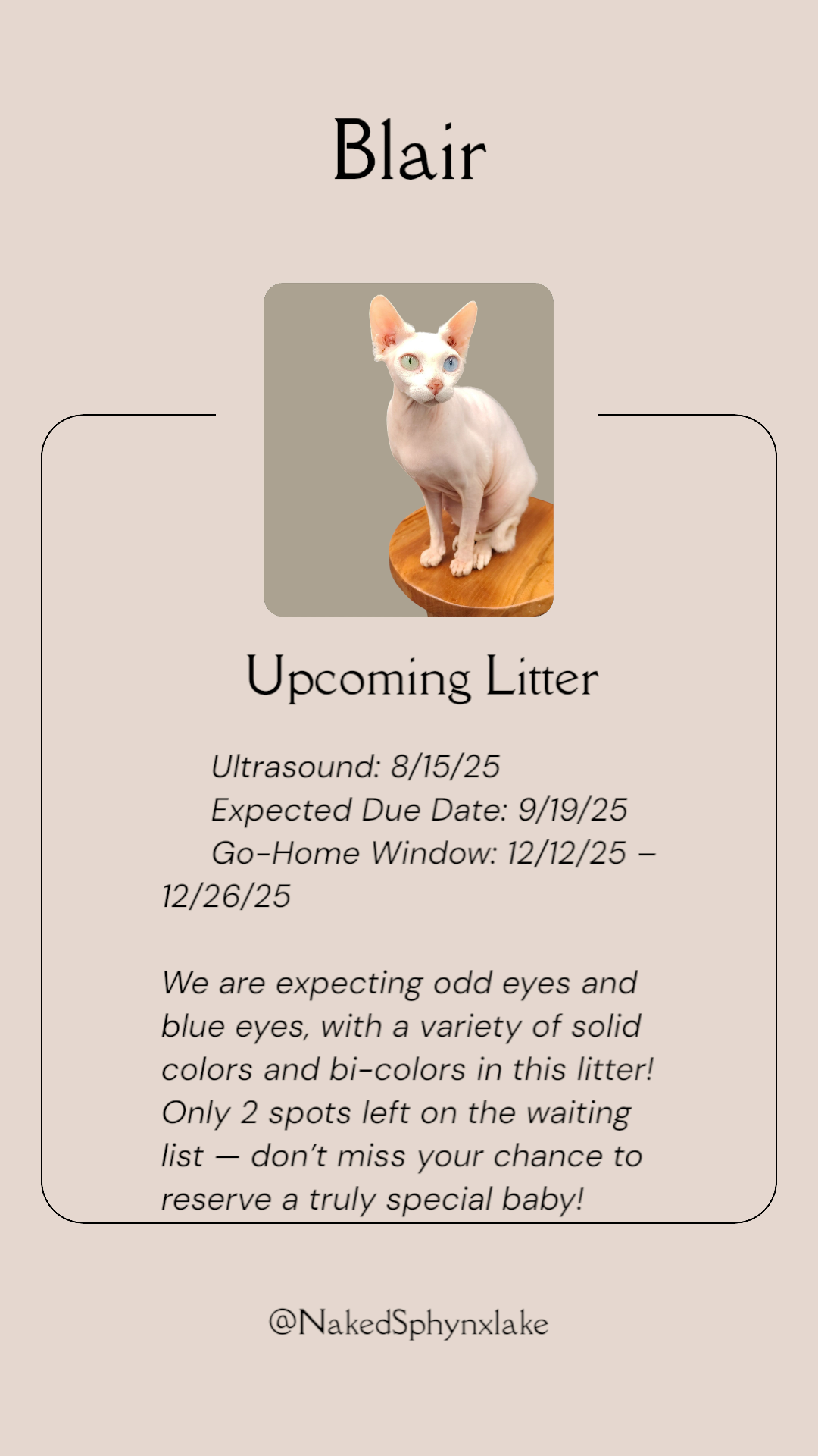 IMG_20250722_110304993~2