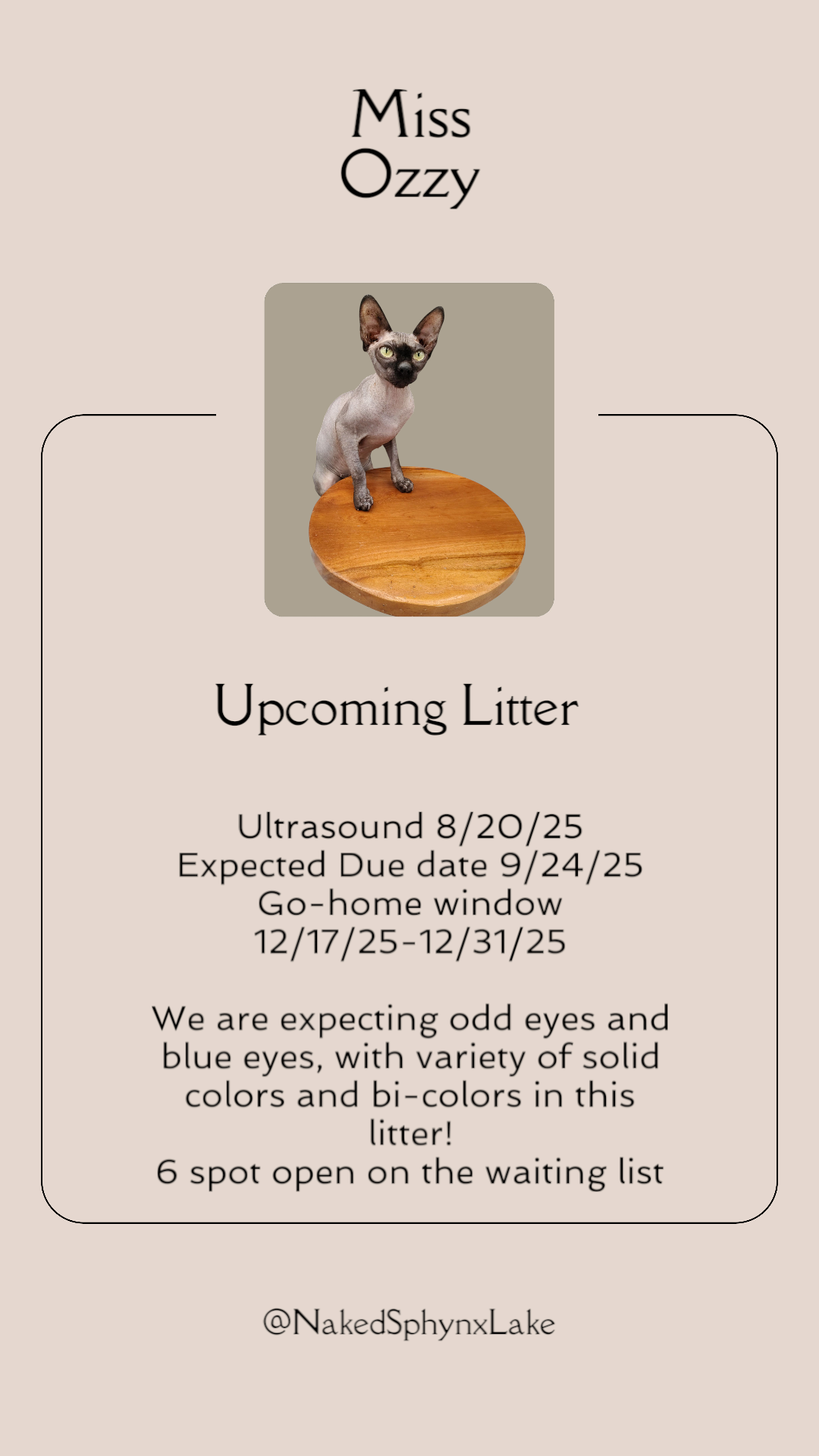 IMG_20250722_105912968