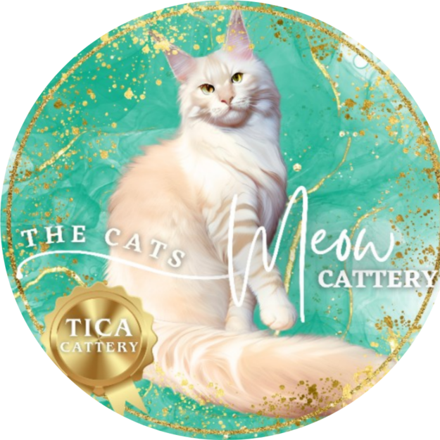 The Cats Meow Cattery