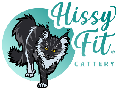 Hissy Fit Cattery