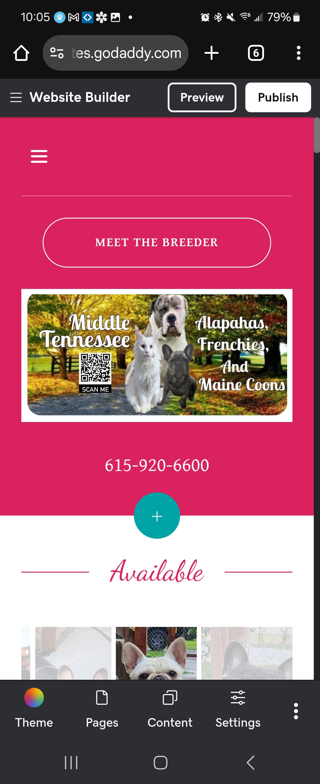 Iron Throne Maine Coons