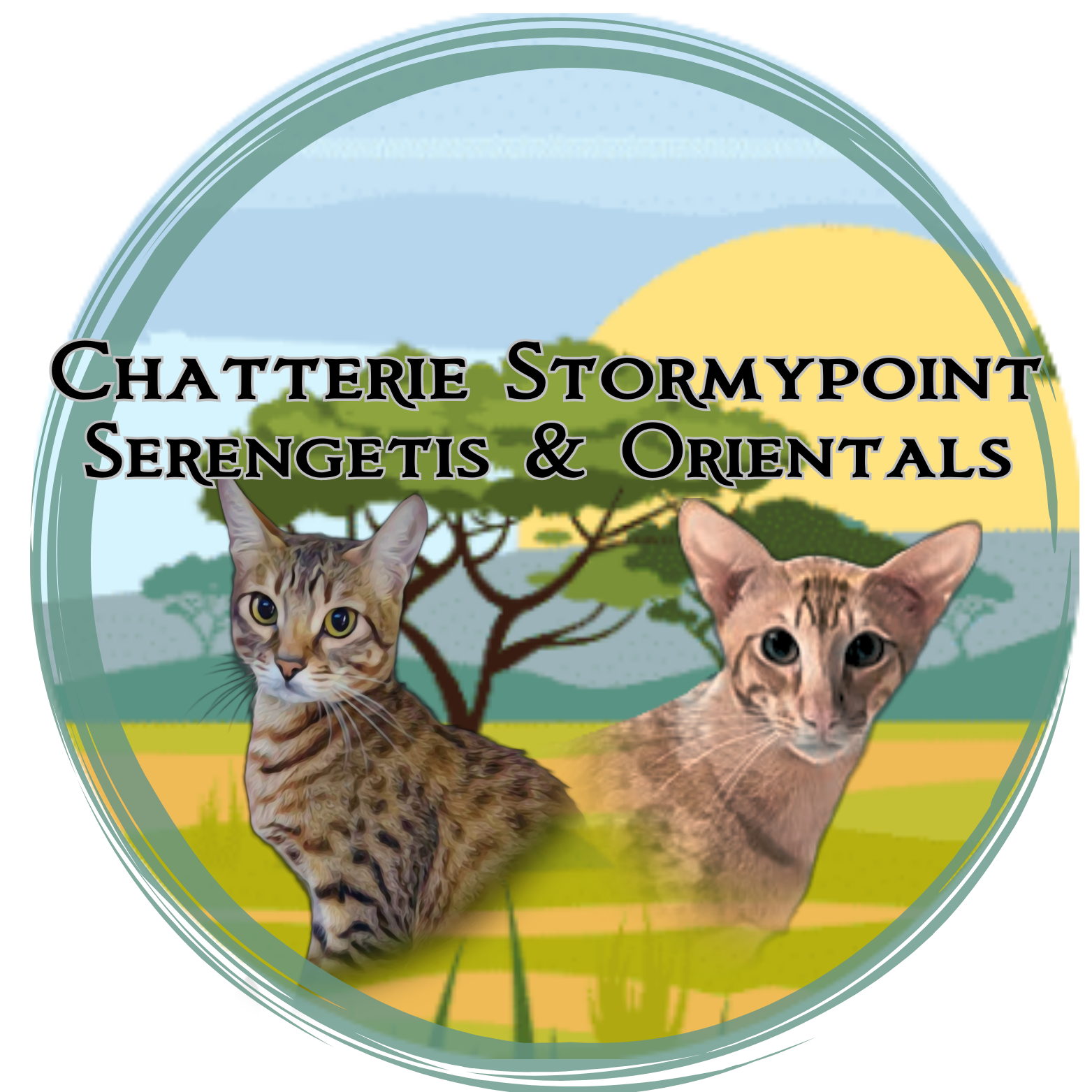 Stormypoint Serengetis