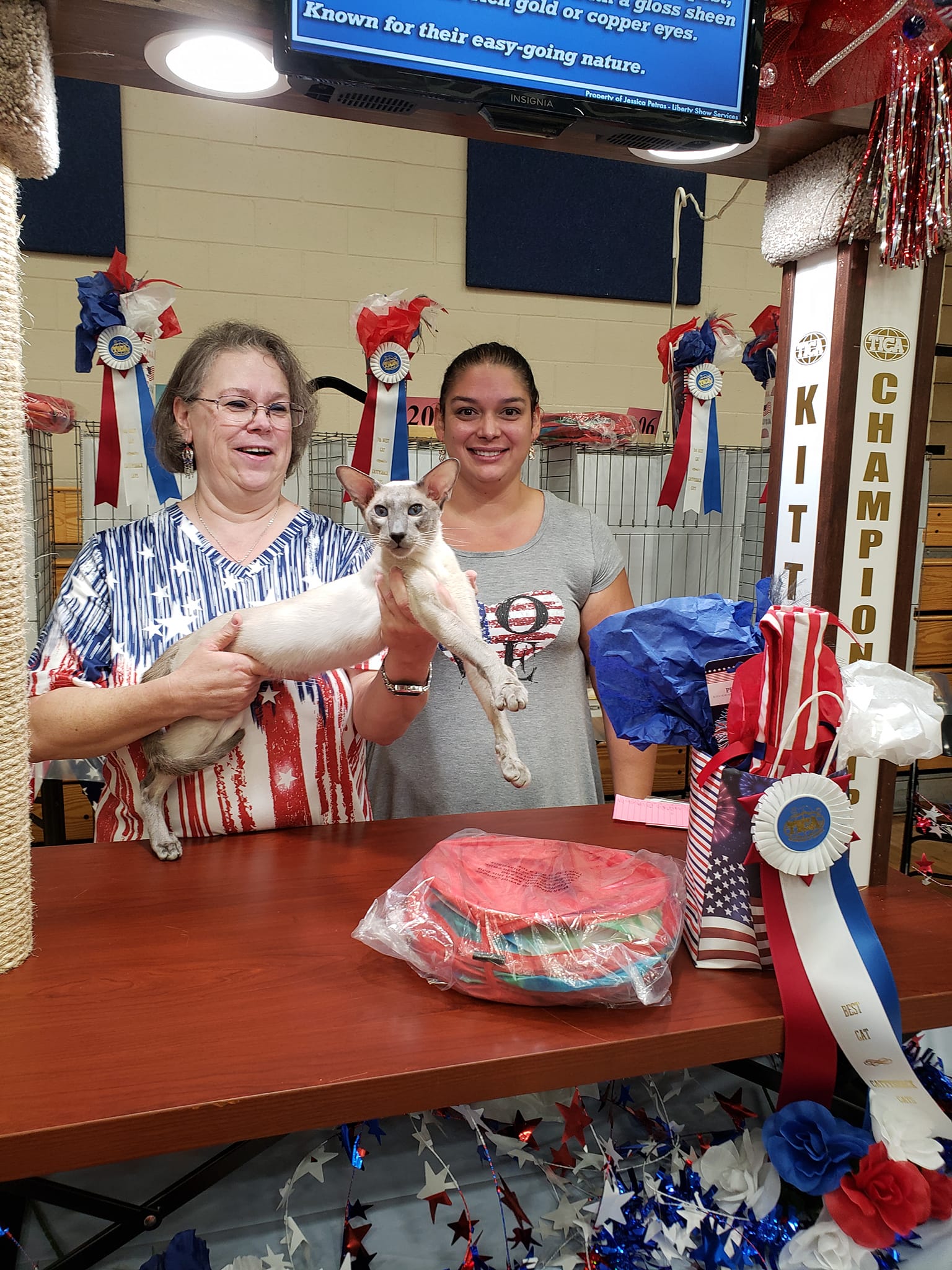 BellaLu Bengals and Siamese