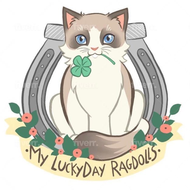 Lucky Day Ragdolls