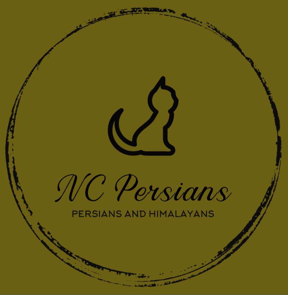 NC Persians