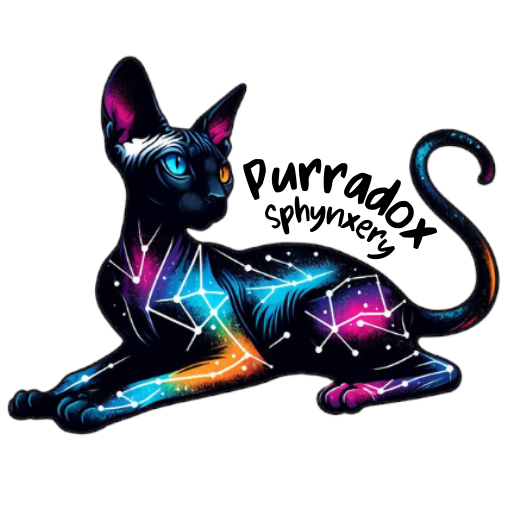 Purradox Sphynxery